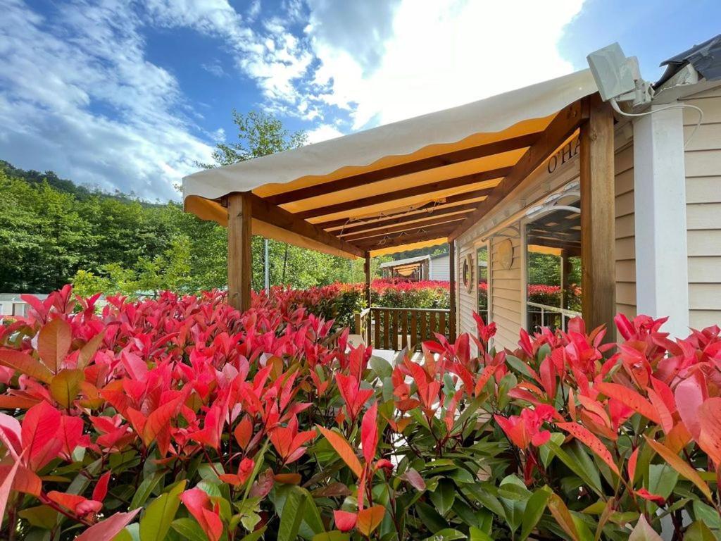 Camping Igara De San Sebastián Eksteriør billede